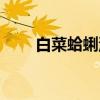 白菜蛤蜊汤（关于白菜蛤蜊汤介绍）