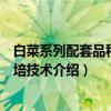 白菜系列配套品种及栽培技术（关于白菜系列配套品种及栽培技术介绍）