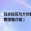 白衣校花与大长腿之狼君薄情（关于白衣校花与大长腿之狼君薄情介绍）