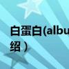 白蛋白(albumin)（关于白蛋白(albumin)介绍）