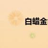 白蜡金命（关于白蜡金命介绍）