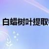 白蜡树叶提取物(关于白蜡树叶提取物介绍) 白蜡树叶提取物(关于白蜡树叶提取物介绍)