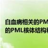 白血病相关的PML核体结构和功能的研究（关于白血病相关的PML核体结构和功能的研究介绍）
