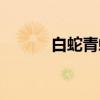 白蛇青蛇(关于白蛇青蛇介绍) 白蛇青蛇(关于白蛇青蛇介绍)