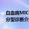 白血病MICM分型诊断（关于白血病MICM分型诊断介绍）
