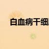 白血病干细胞（关于白血病干细胞介绍）