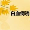 白血病诱因（关于白血病诱因介绍）