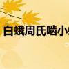 白蛾周氏啮小蜂（关于白蛾周氏啮小蜂介绍）
