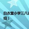 白衣堂小学三八志愿团队（关于白衣堂小学三八志愿团队介绍）