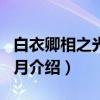 白衣卿相之光辉岁月（关于白衣卿相之光辉岁月介绍）