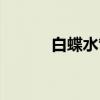 白蝶水管(关于白蝶水管介绍) 白蝶水管(关于白蝶水管介绍)