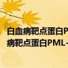白血病靶点蛋白PML-RARa等的结构和功能研究（关于白血病靶点蛋白PML-RARa等的结构和功能研究介绍）