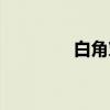 白角簟（关于白角簟介绍）