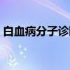 白血病分子诊断（关于白血病分子诊断介绍）