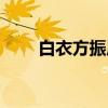 白衣方振眉（关于白衣方振眉介绍）