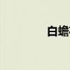 白蟾花（关于白蟾花介绍）