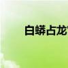 白蟒占龙宫（关于白蟒占龙宫介绍）