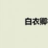 白衣卿相（关于白衣卿相介绍）
