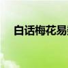 白话梅花易数（关于白话梅花易数介绍）