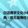 白话佛学文化小经典：观无量寿经（关于白话佛学文化小经典：观无量寿经介绍）
