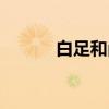 白足和尚（关于白足和尚介绍）