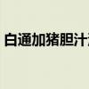 白通加猪胆汁汤（关于白通加猪胆汁汤介绍）