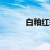 白釉红彩（关于白釉红彩介绍）