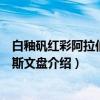 白釉矾红彩阿拉伯文波斯文盘（关于白釉矾红彩阿拉伯文波斯文盘介绍）
