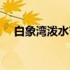 白象湾泼水节（关于白象湾泼水节介绍）