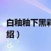 白釉釉下黑彩划花（关于白釉釉下黑彩划花介绍）