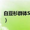 白豆杉群体SK02（关于白豆杉群体SK02介绍）