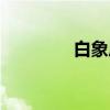 白象居（关于白象居介绍）