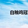 白釉鸡冠壶（关于白釉鸡冠壶介绍）