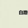 白路镇（关于白路镇介绍）