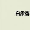 白象香糕（关于白象香糕介绍）
