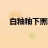 白釉釉下黑彩（关于白釉釉下黑彩介绍）