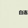 白连发（关于白连发介绍）
