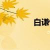 白谦慎（关于白谦慎介绍）