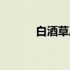 白酒草属（关于白酒草属介绍）