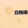 白釉唾壶（关于白釉唾壶介绍）