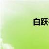 白跃宇（关于白跃宇介绍）