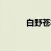 白野苍衣（关于白野苍衣介绍）