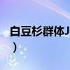 白豆杉群体JGBJ（关于白豆杉群体JGBJ介绍）
