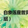 白象莲座普贤铜像（关于白象莲座普贤铜像介绍）