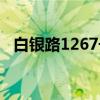 白银路1267号（关于白银路1267号介绍）