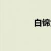 白锦堂（关于白锦堂介绍）