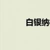 白银纳村（关于白银纳村介绍）