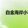 白金海岸小区(关于白金海岸小区介绍) 白金海岸小区(关于白金海岸小区介绍)
