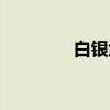 白银武（关于白银武介绍）