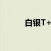 白银T+D（关于白银T+D介绍）